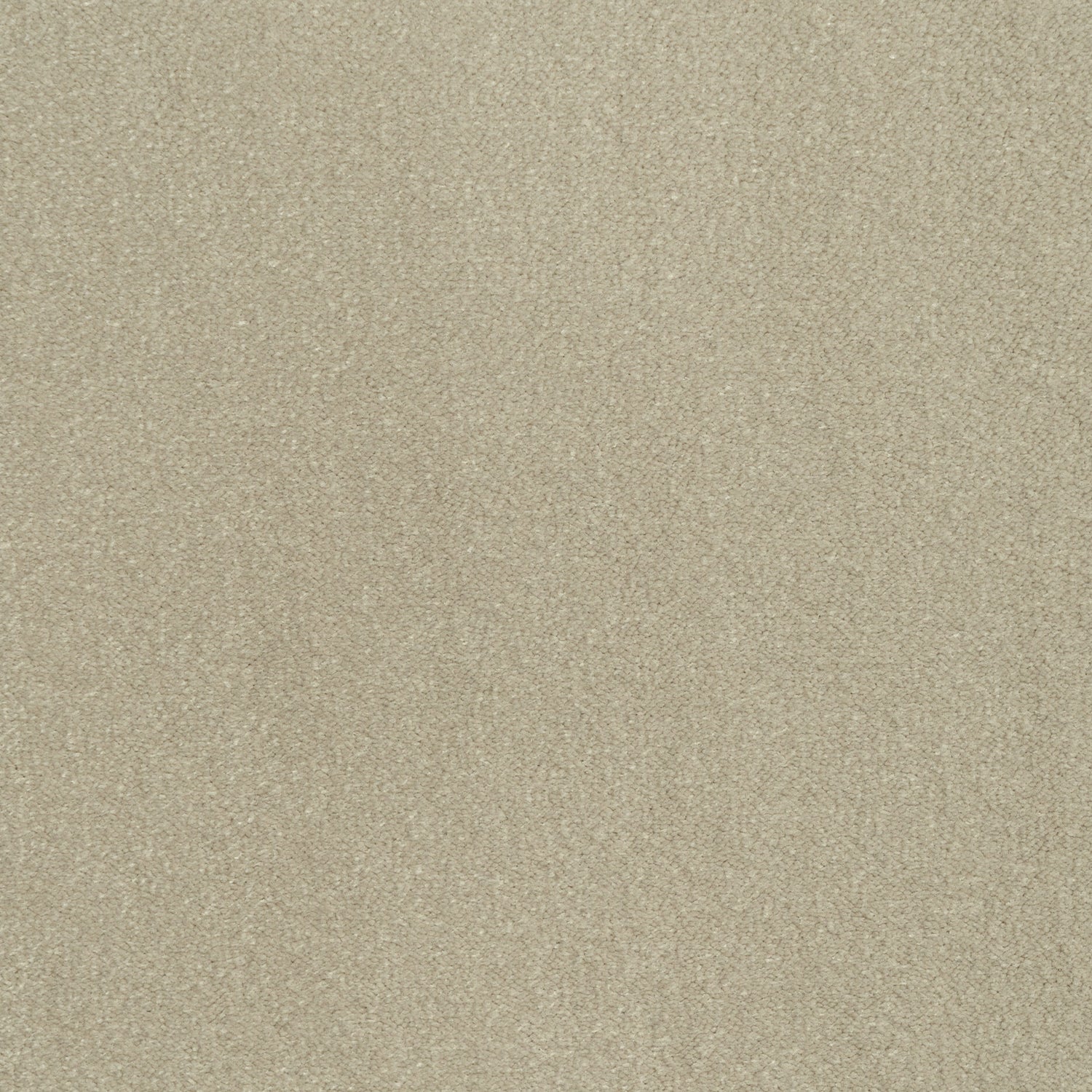 ITC Cabernet 100% Nylon Velvet Carpet