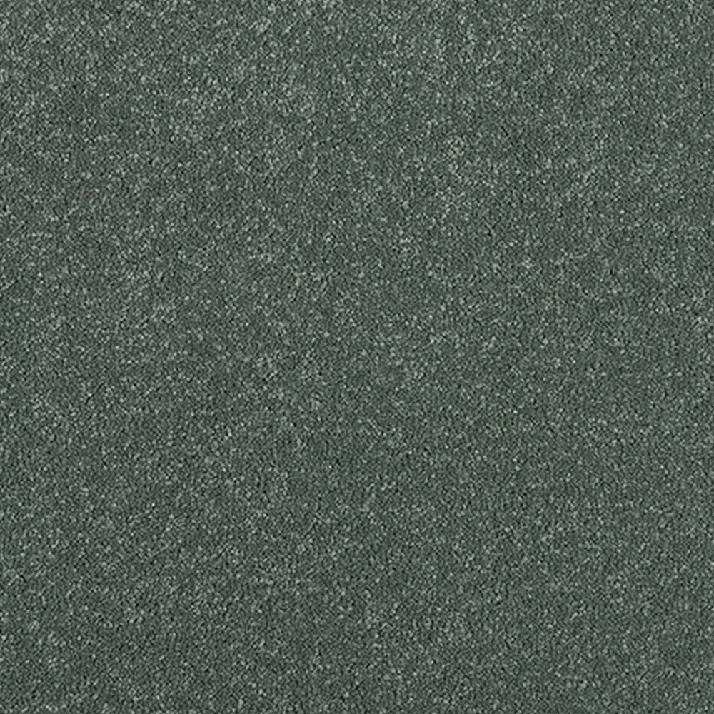 Abingdon Carpets Stainfree Maximus Saxony Carpet
