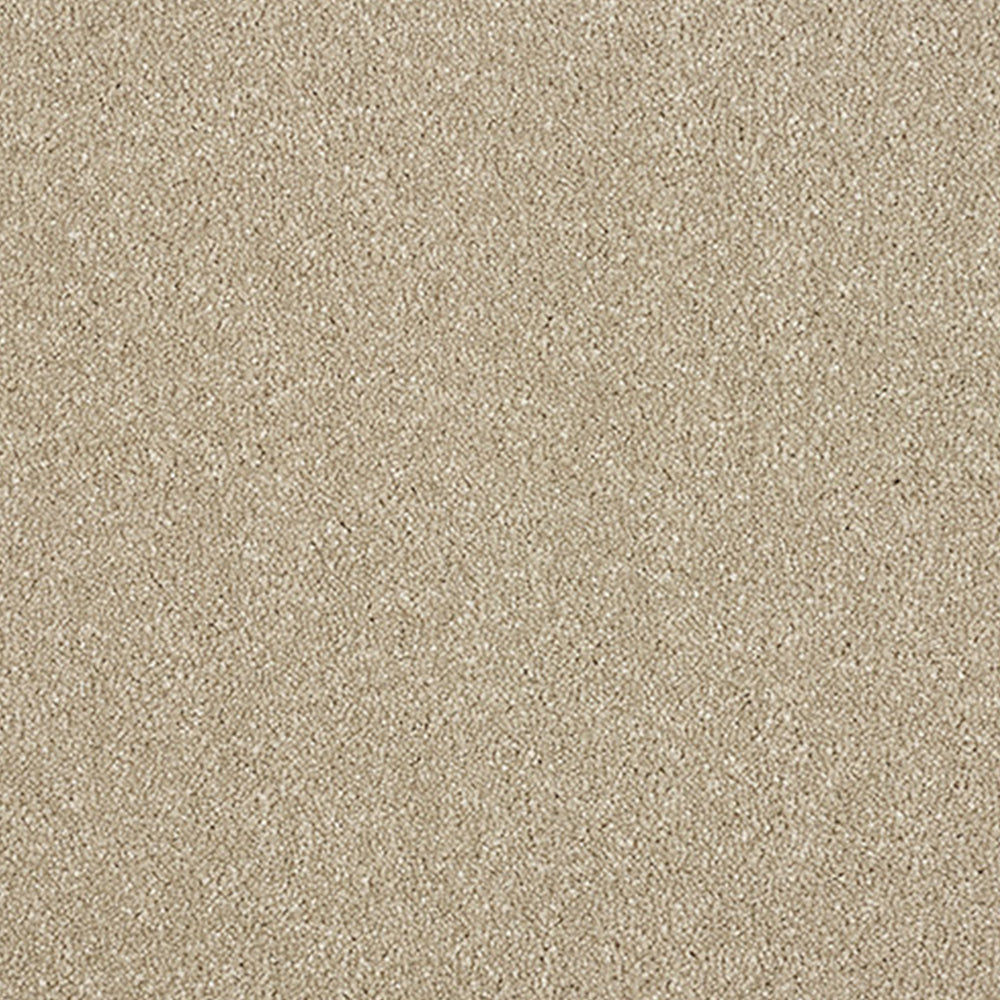 Abingdon Carpets Stainfree Maximus Saxony Carpet