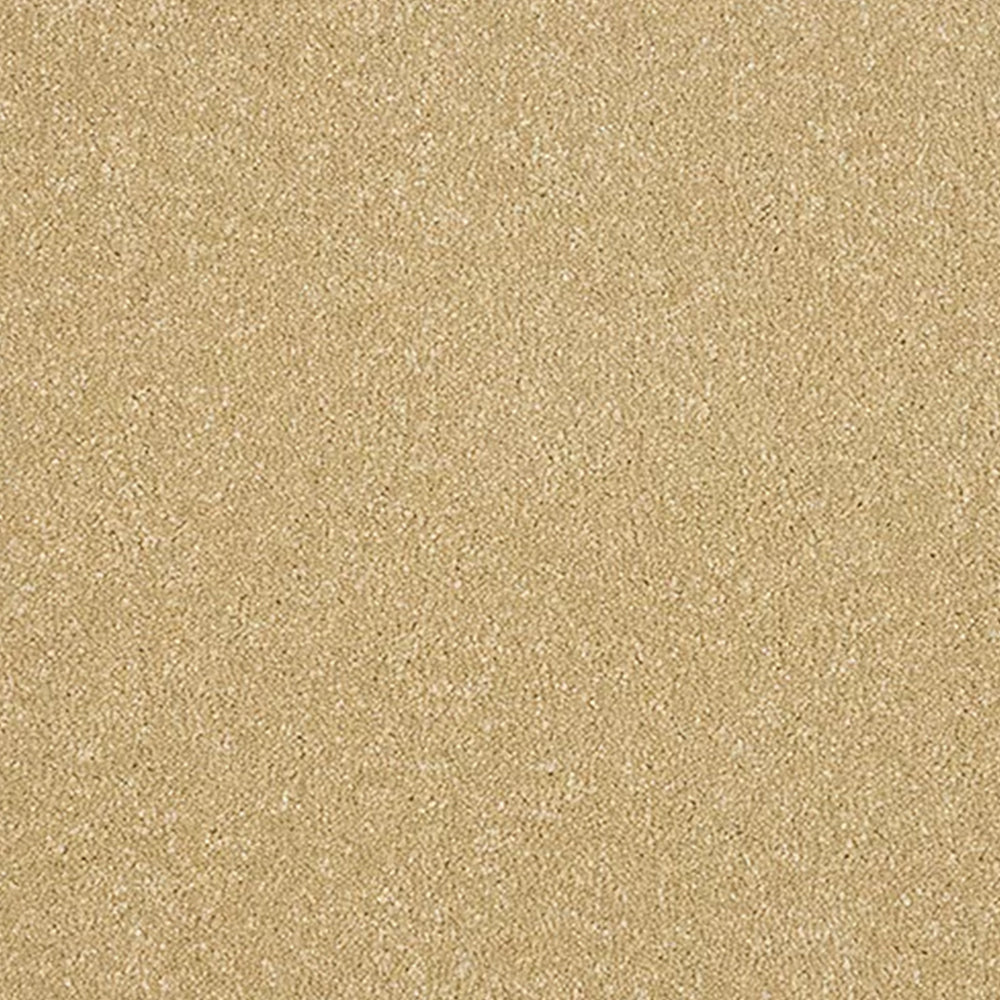 Abingdon Carpets Stainfree Maximus Saxony Carpet