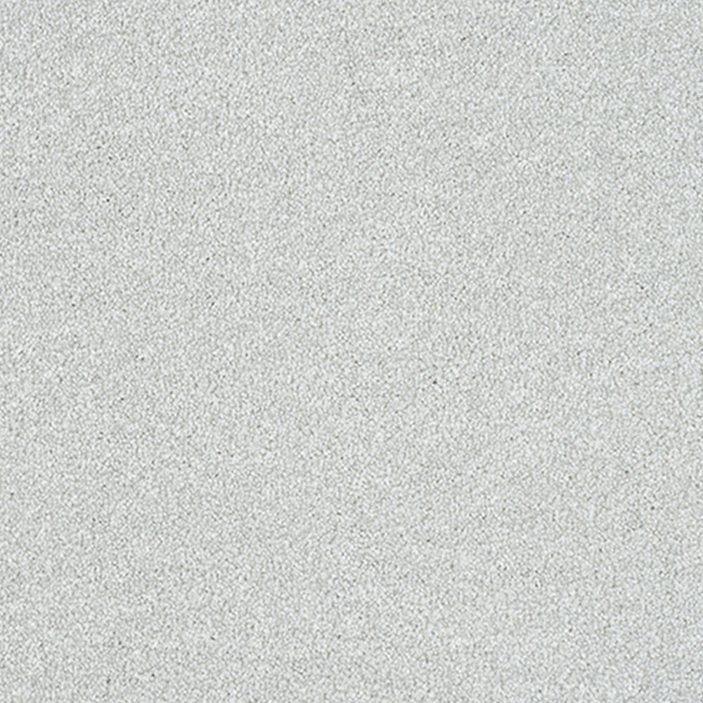 Abingdon Carpets Stainfree Maximus Saxony Carpet
