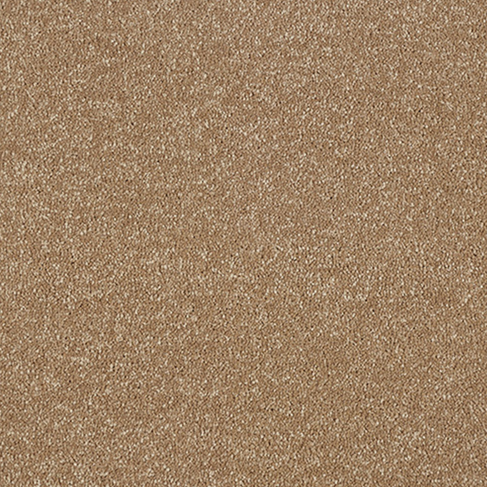 Abingdon Carpets Stainfree Maximus Saxony Carpet
