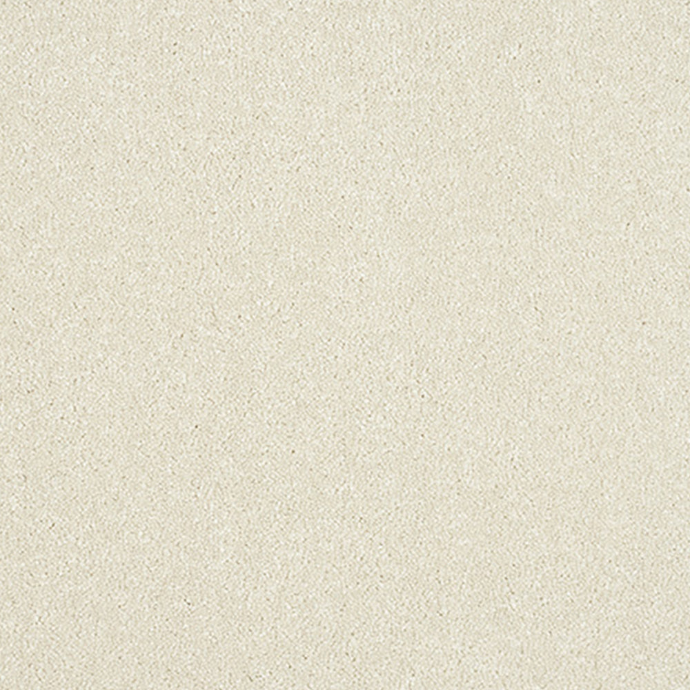 Abingdon Carpets Stainfree Maximus Saxony Carpet