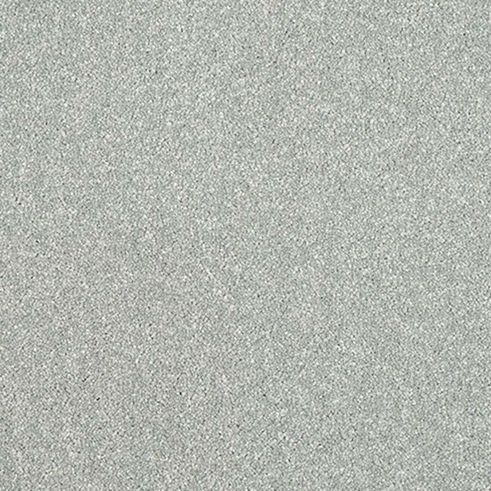 Abingdon Carpets Stainfree Maximus Saxony Carpet