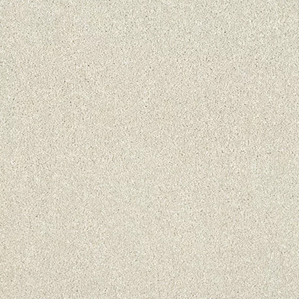 Abingdon Carpets Stainfree Maximus Saxony Carpet