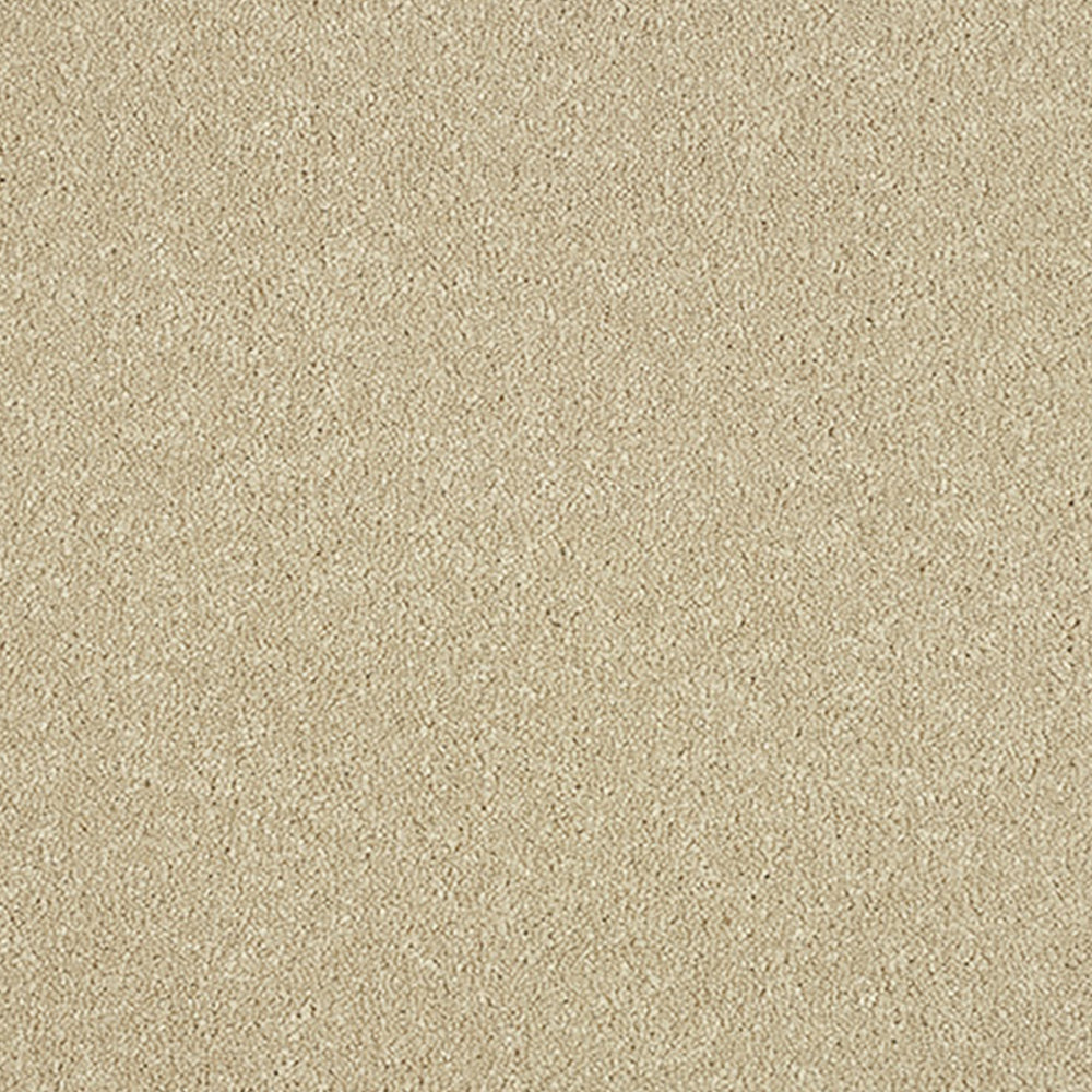 Abingdon Carpets Stainfree Maximus Saxony Carpet
