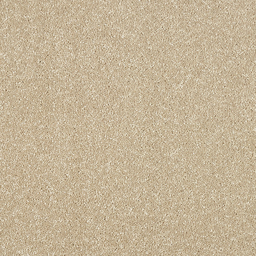 Abingdon Carpets Stainfree Maximus Saxony Carpet