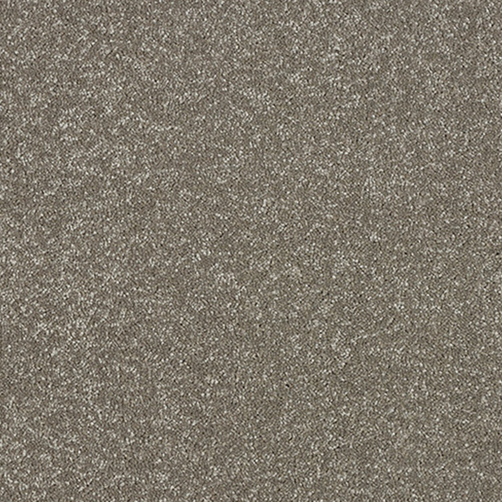 Abingdon Carpets Stainfree Maximus Saxony Carpet