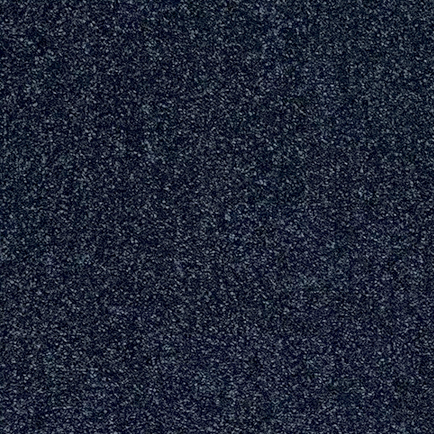 Abingdon Carpets Stainfree Reflections Twist Carpet