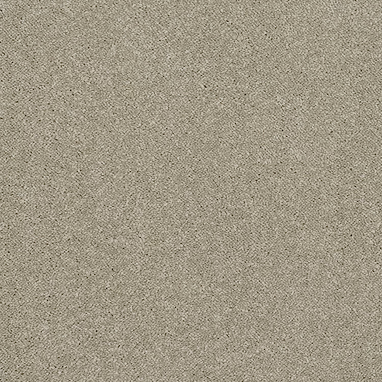 Abingdon Carpets Stainfree Reflections Twist Carpet