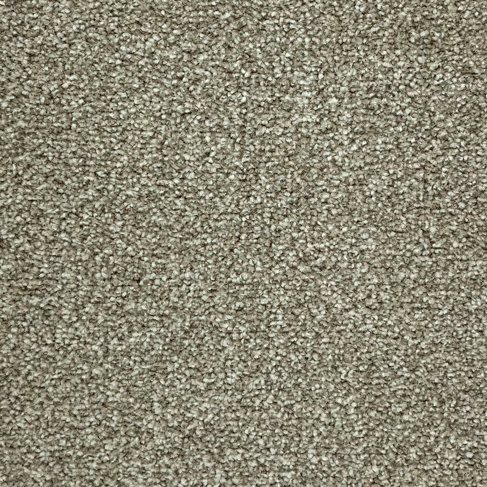 Abingdon Carpets Stainfree Rustique Twist Carpet