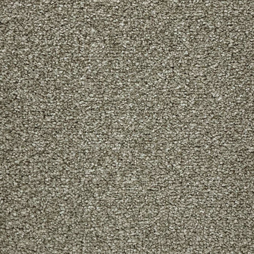 Abingdon Carpets Stainfree Rustique Twist Carpet
