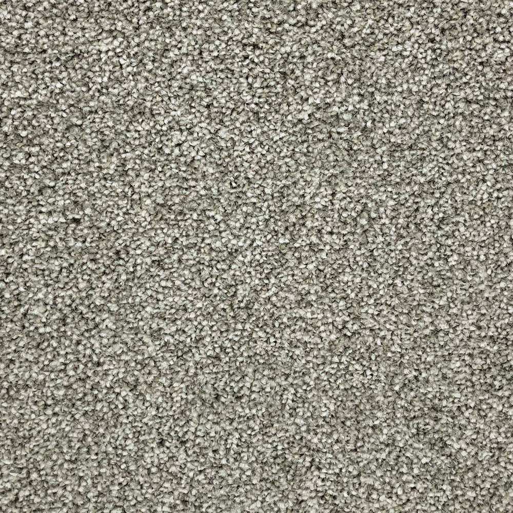 Abingdon Carpets Stainfree Rustique Twist Carpet