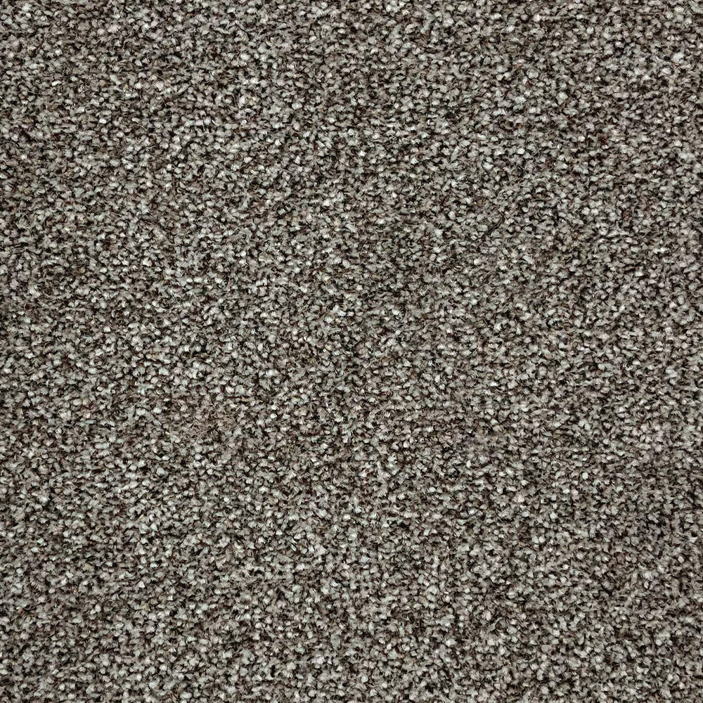 Abingdon Carpets Stainfree Rustique Twist Carpet