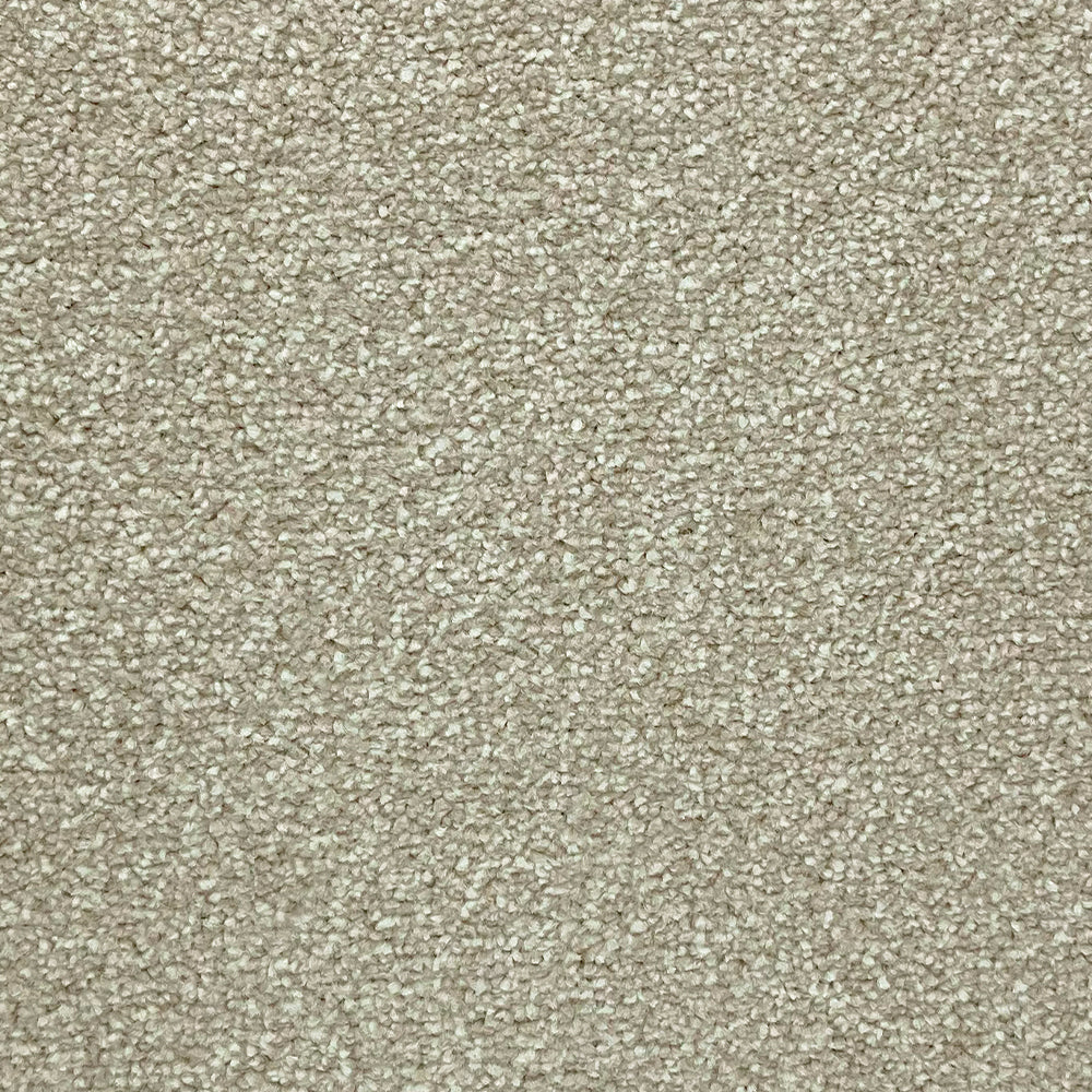 Abingdon Carpets Stainfree Rustique Twist Carpet