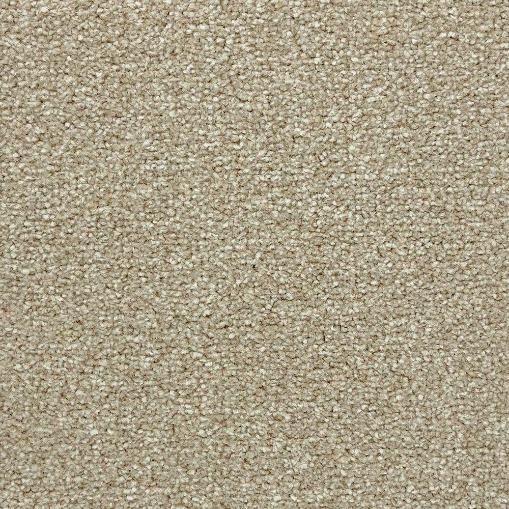 Abingdon Carpets Stainfree Rustique Twist Carpet