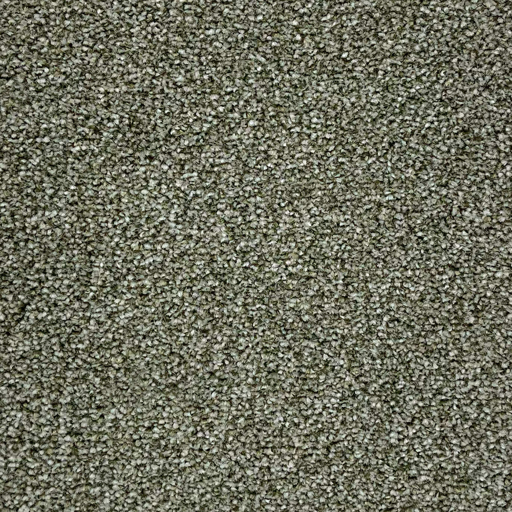 Abingdon Carpets Stainfree Rustique Twist Carpet