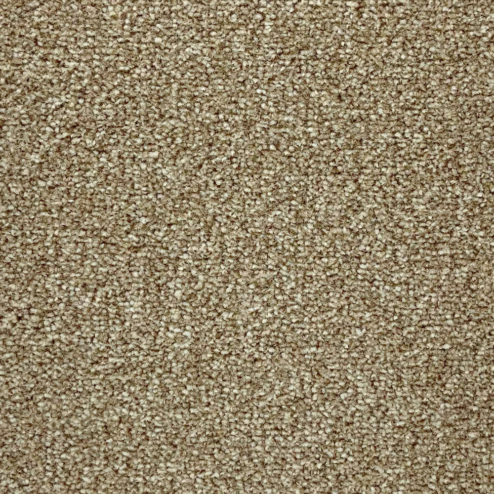 Abingdon Carpets Stainfree Rustique Twist Carpet