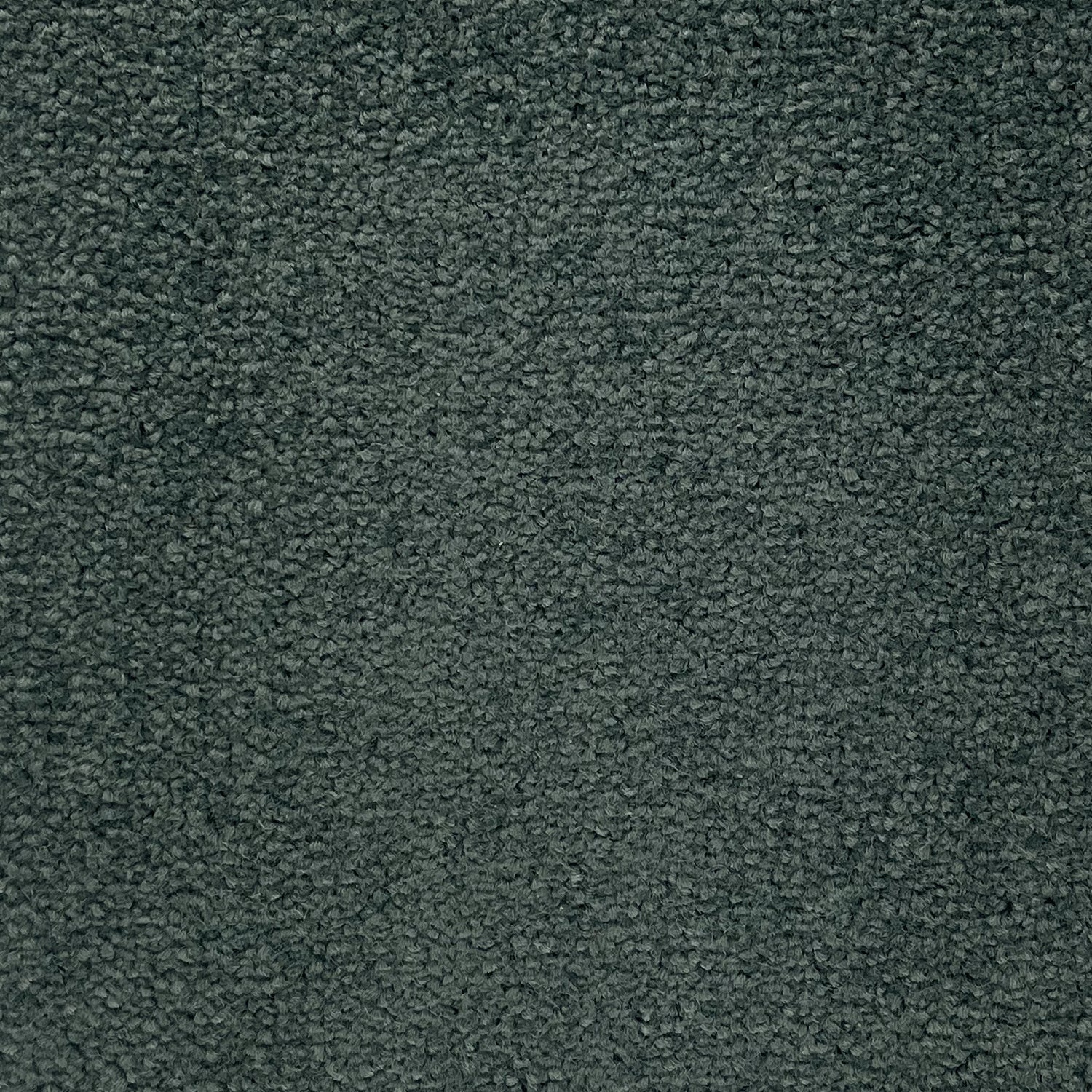 Abingdon Carpets Stainfree Twist Carpet