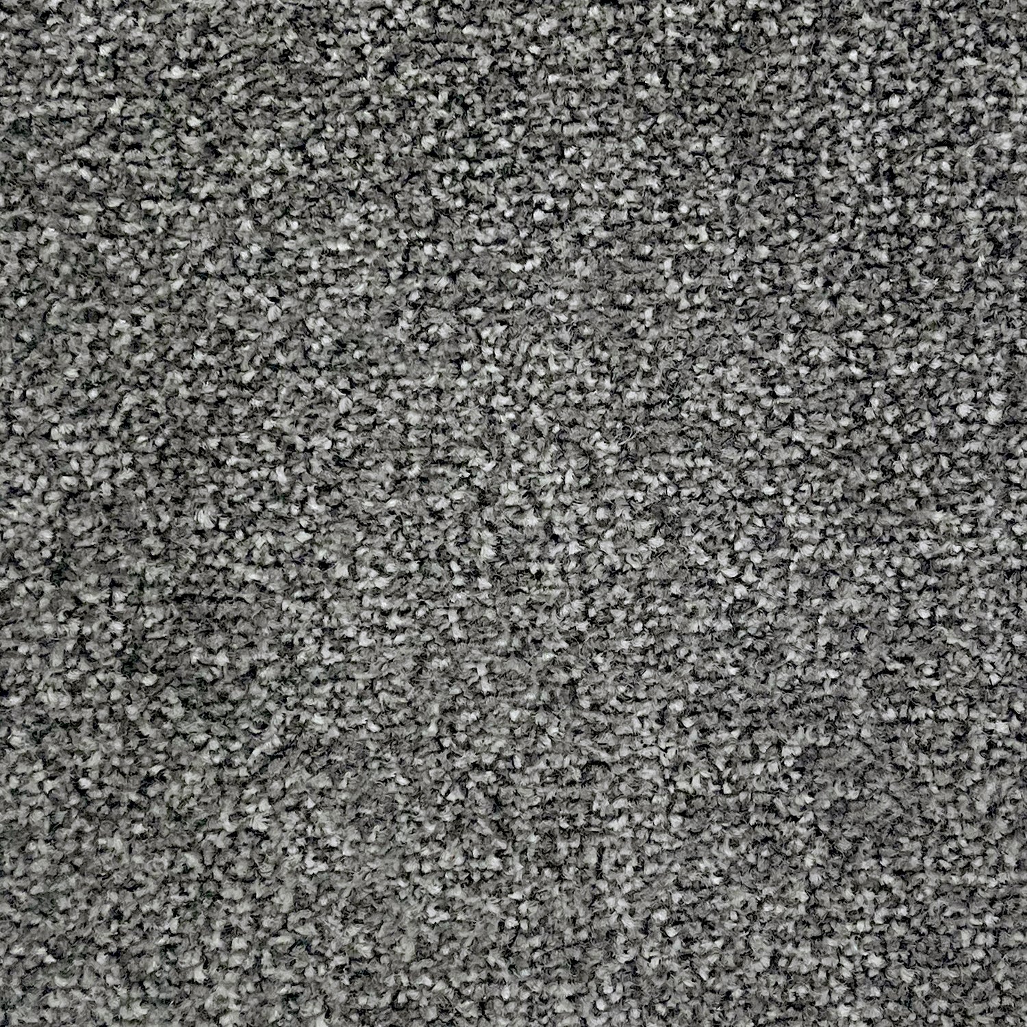 Abingdon Carpets Stainfree Twist Carpet
