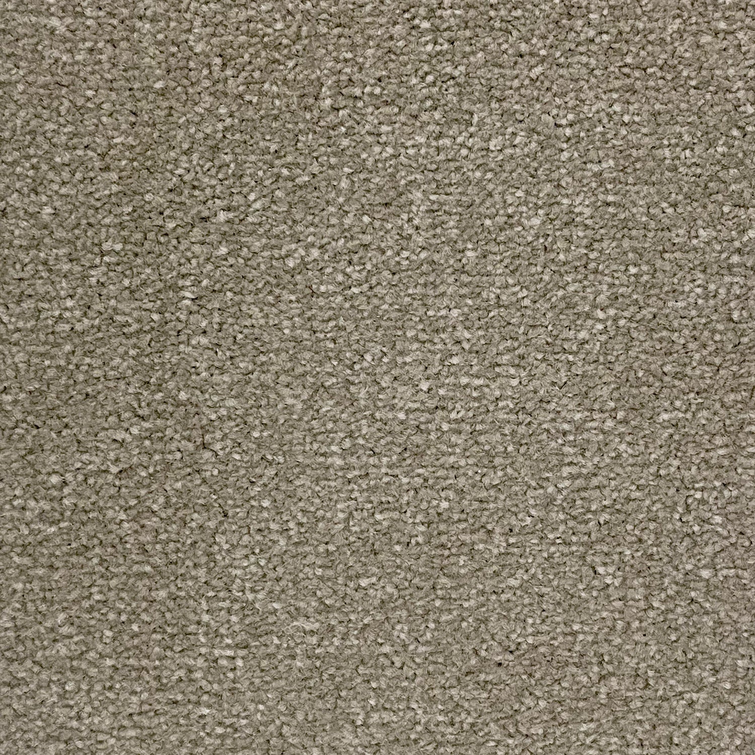 Abingdon Carpets Stainfree Twist Carpet