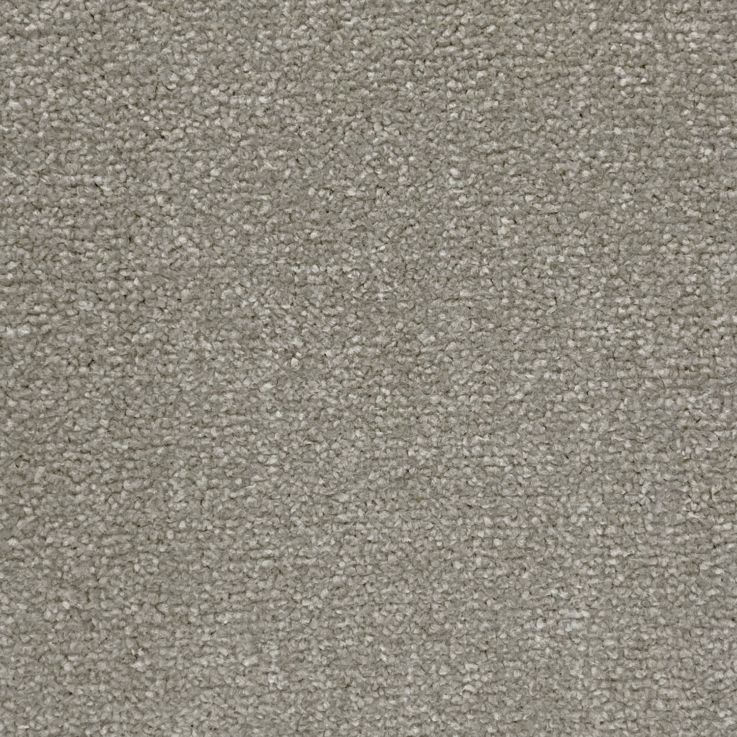 Abingdon Carpets Stainfree Twist Carpet