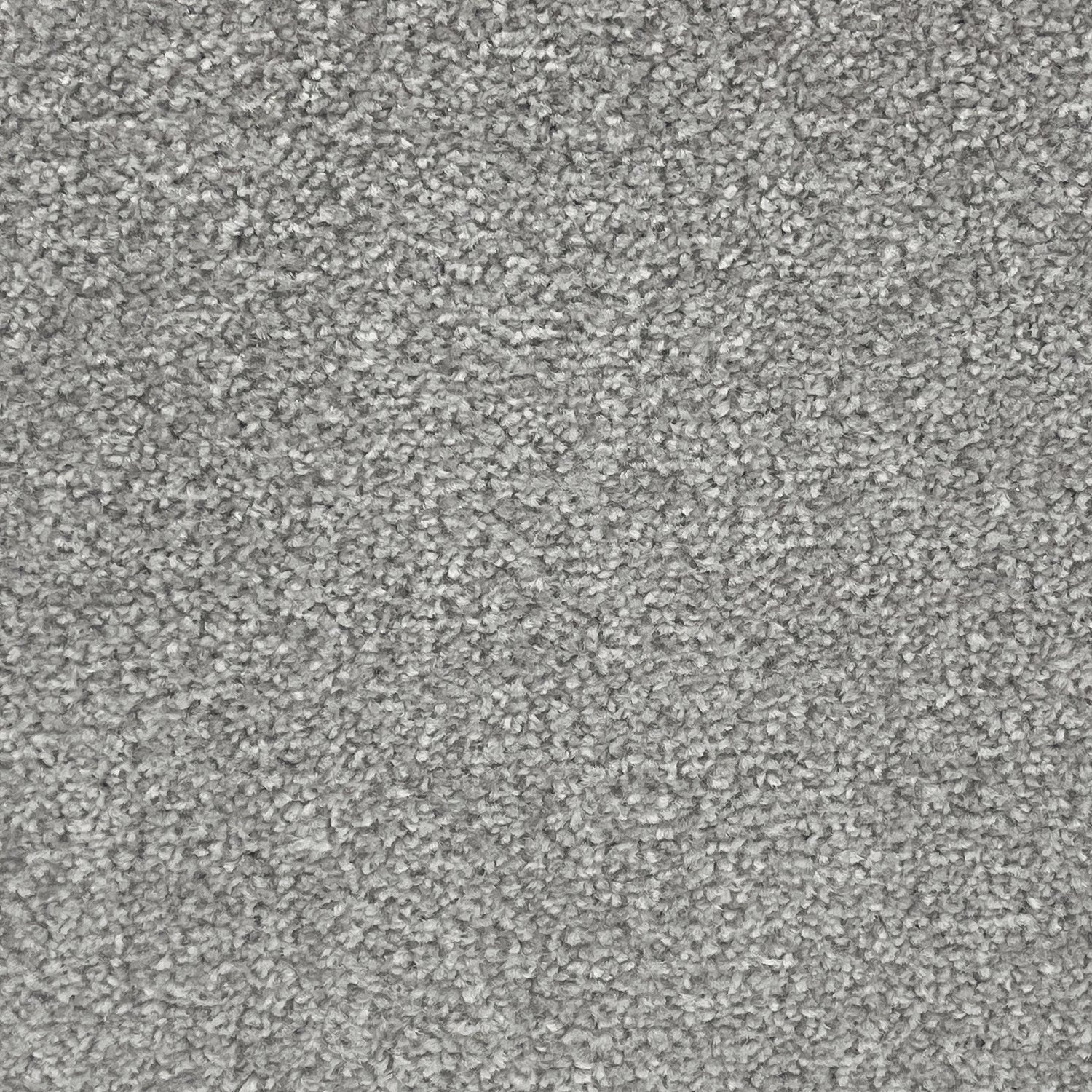 Abingdon Carpets Stainfree Twist Carpet
