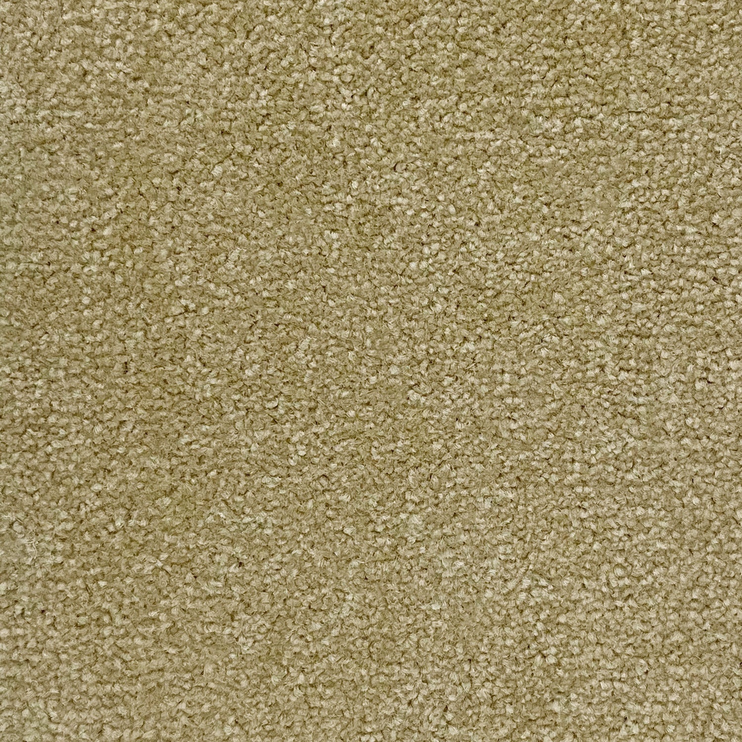 Abingdon Carpets Stainfree Twist Carpet
