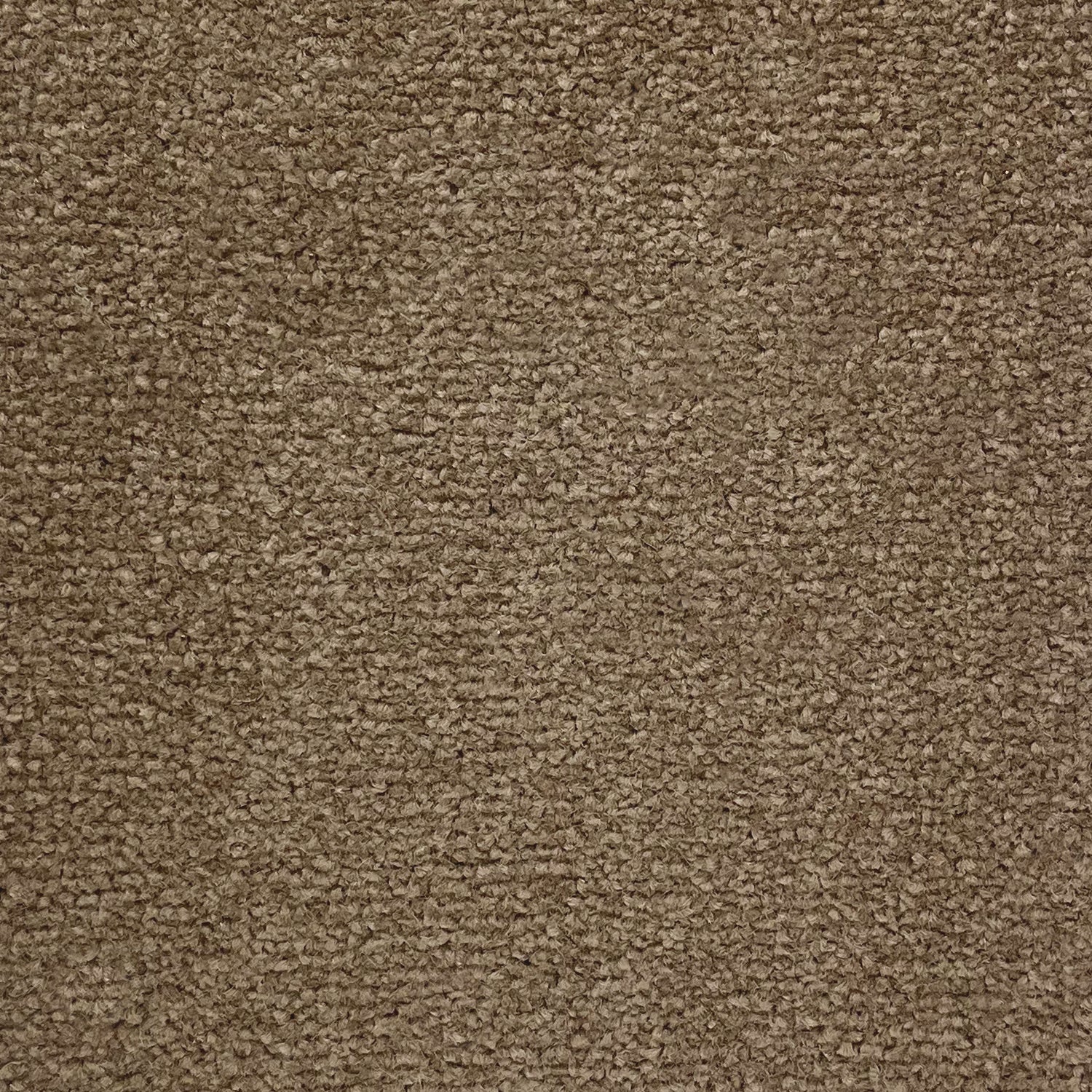 Abingdon Carpets Stainfree Twist Carpet