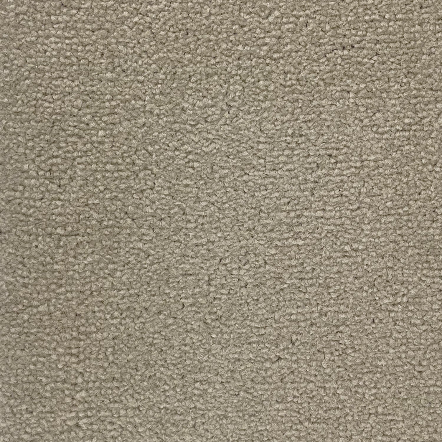 Abingdon Carpets Stainfree Twist Carpet