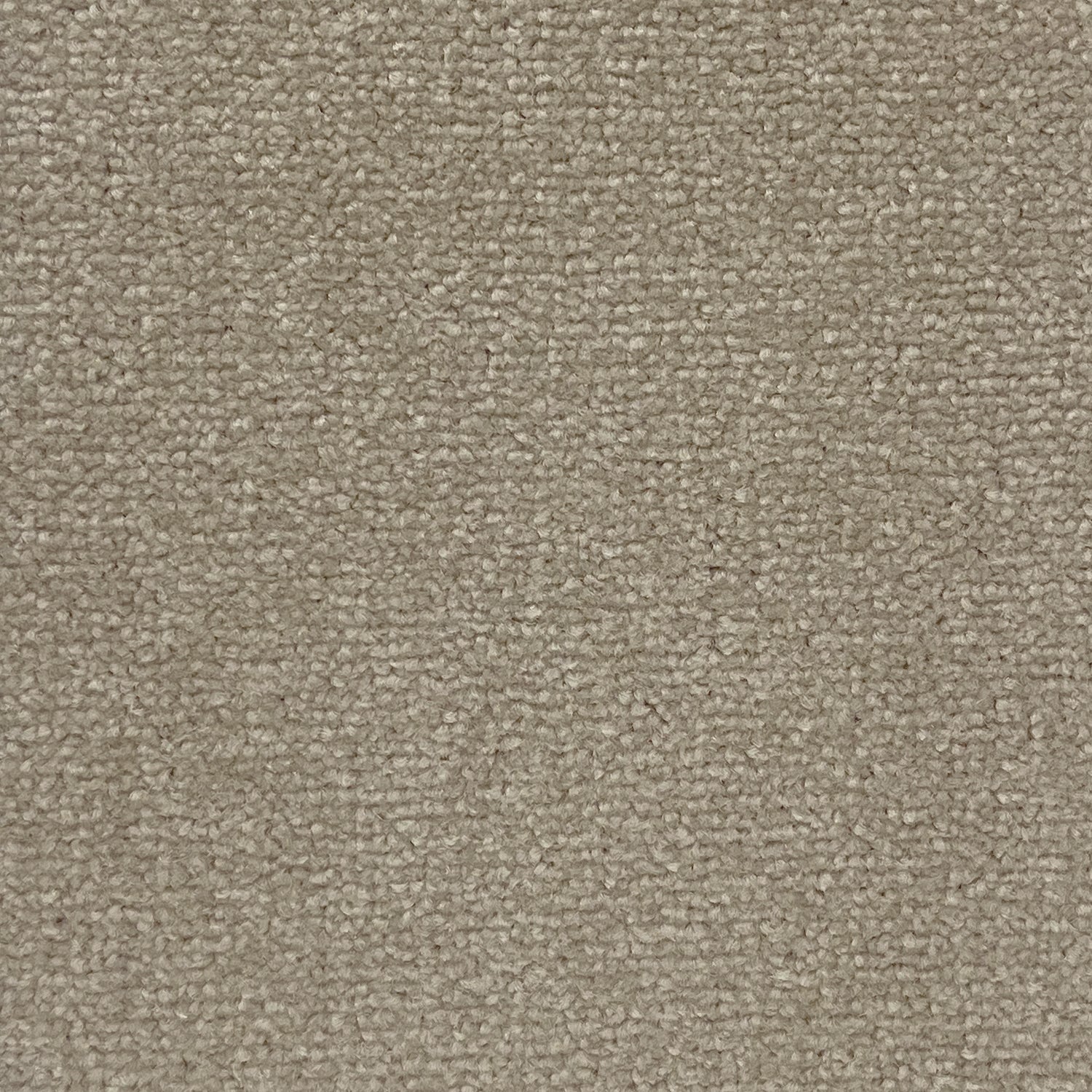 Abingdon Carpets Stainfree Twist Carpet