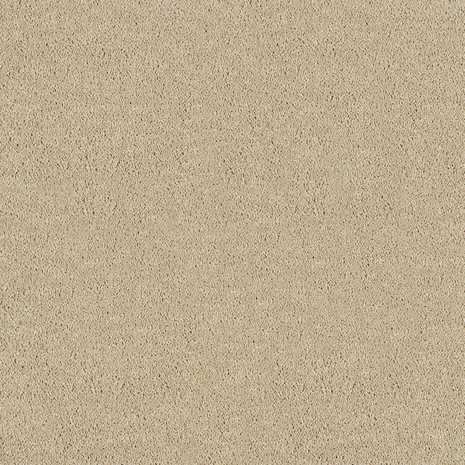 Abingdon Carpets Love Story Soft Whisper Saxony Carpet