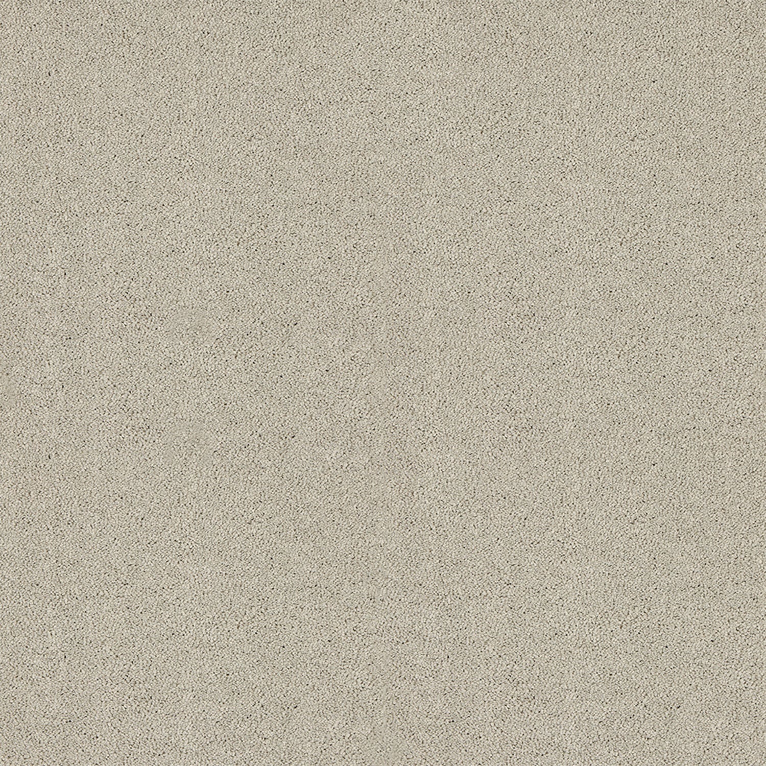 Abingdon Carpets Love Story Velvet Dreams Saxony Carpet