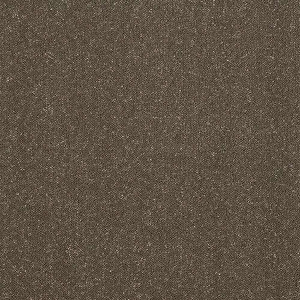 Abingdon Carpets Stainfree Pure Elegance Twist Carpet