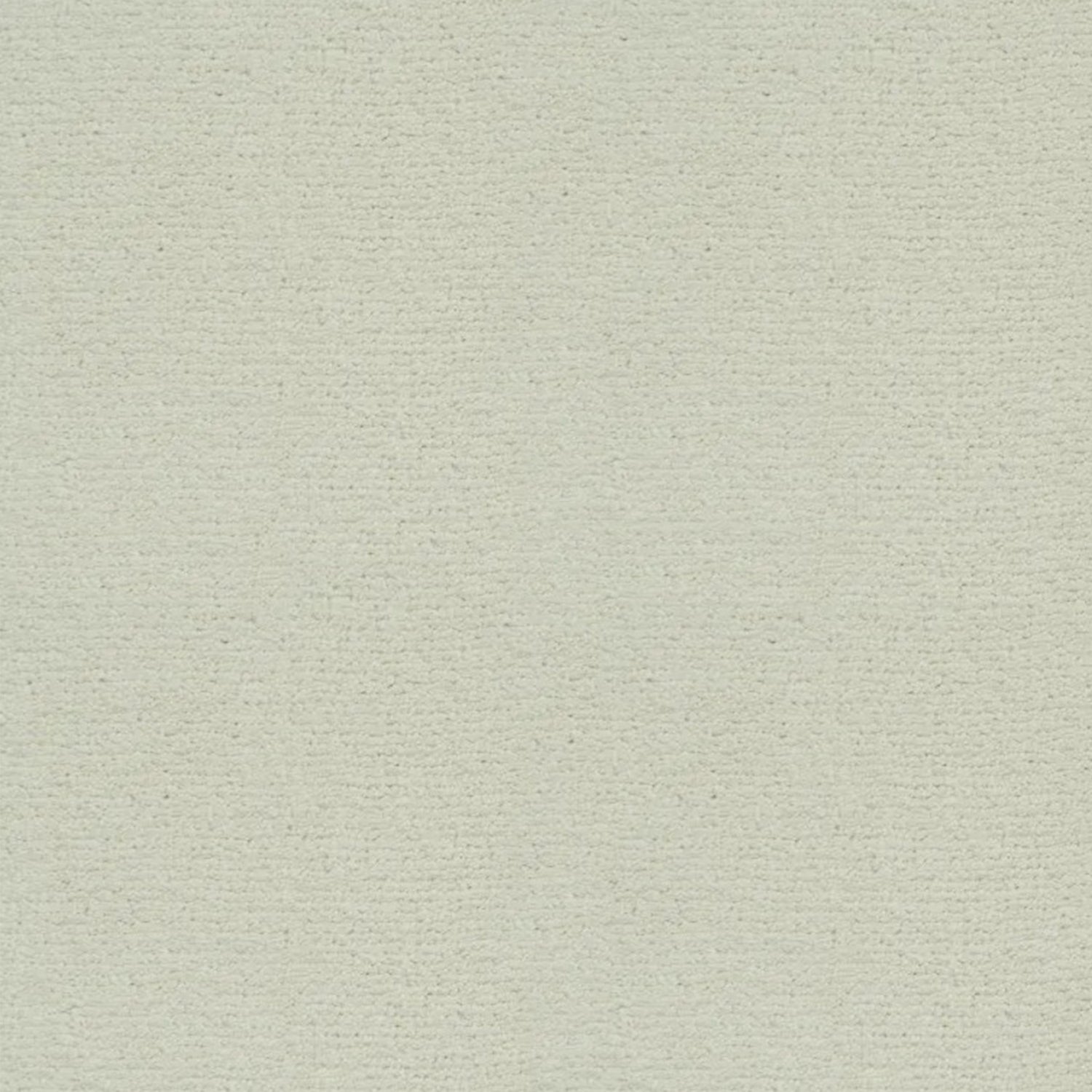 Artisan Carpets Bellezza 100% Polyester Velvet Carpet