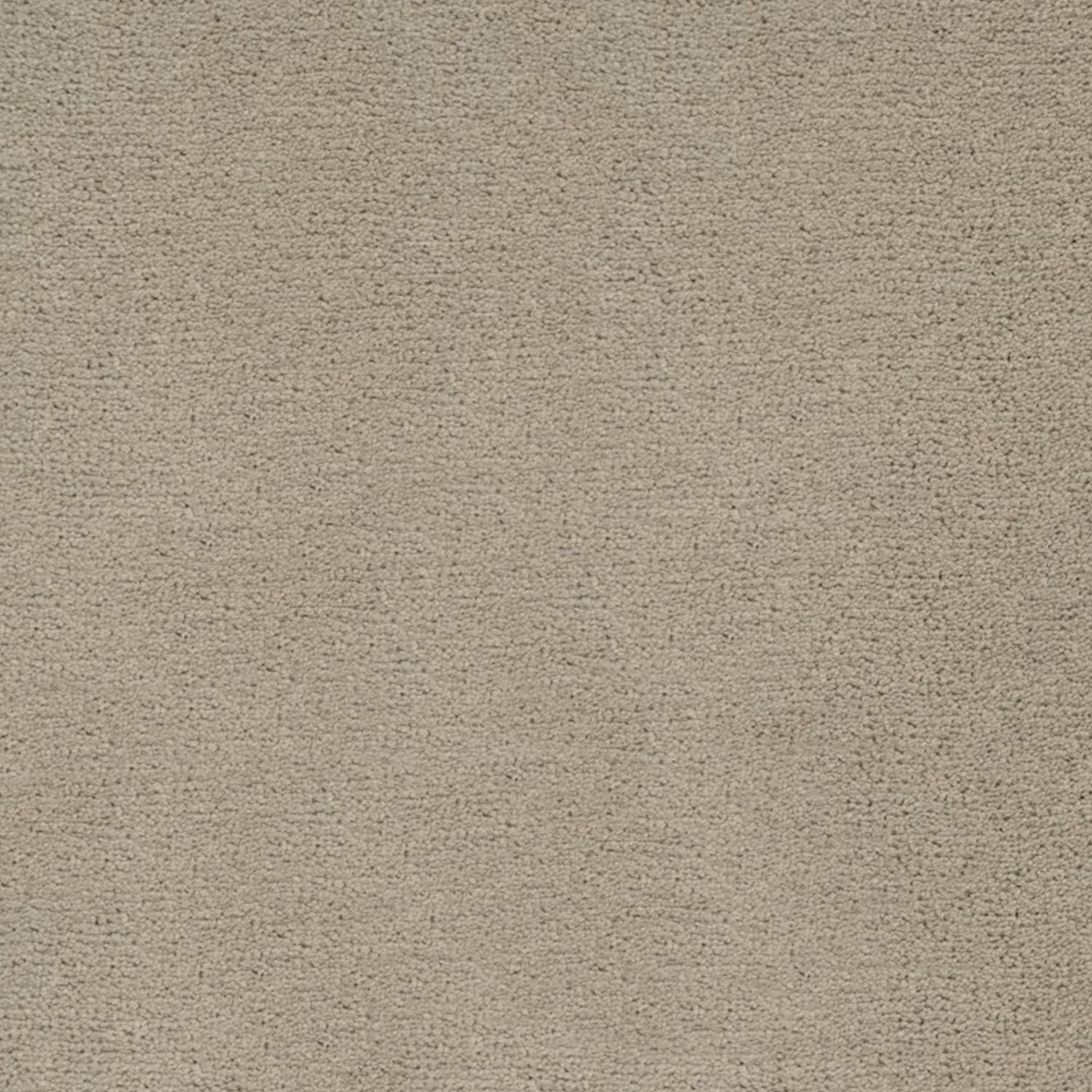 Artisan Carpets Bellezza 100% Polyester Velvet Carpet