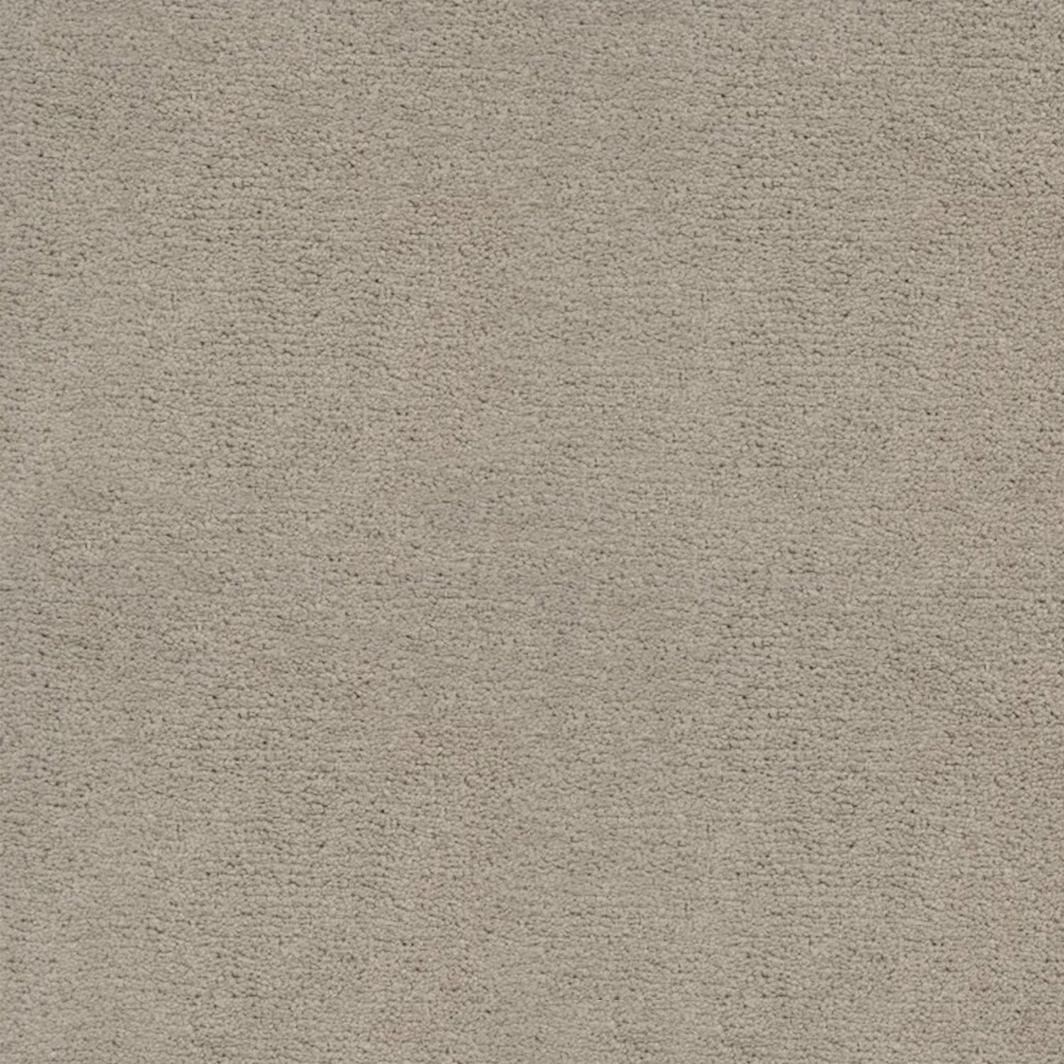 Artisan Carpets Bellezza 100% Polyester Velvet Carpet