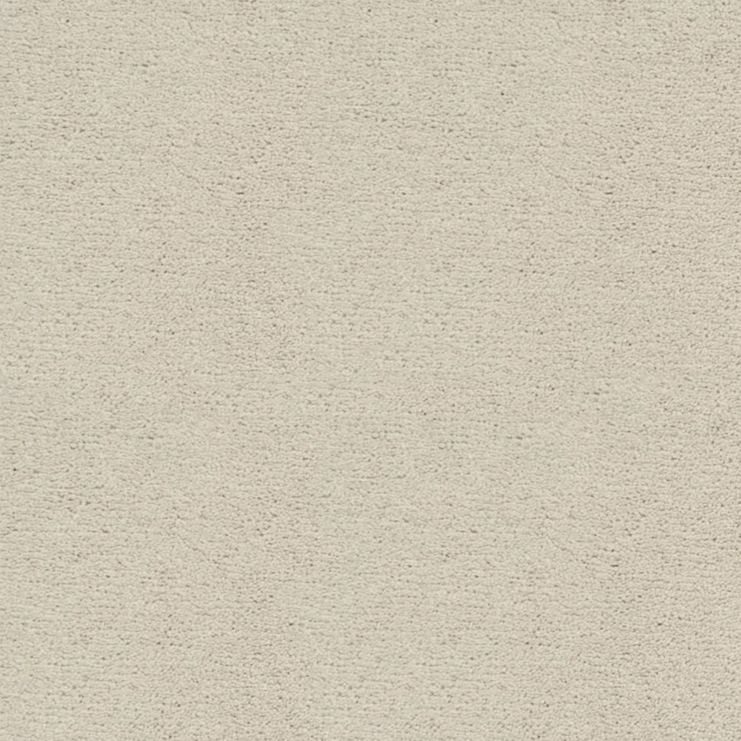 Artisan Carpets Bellezza 100% Polyester Velvet Carpet