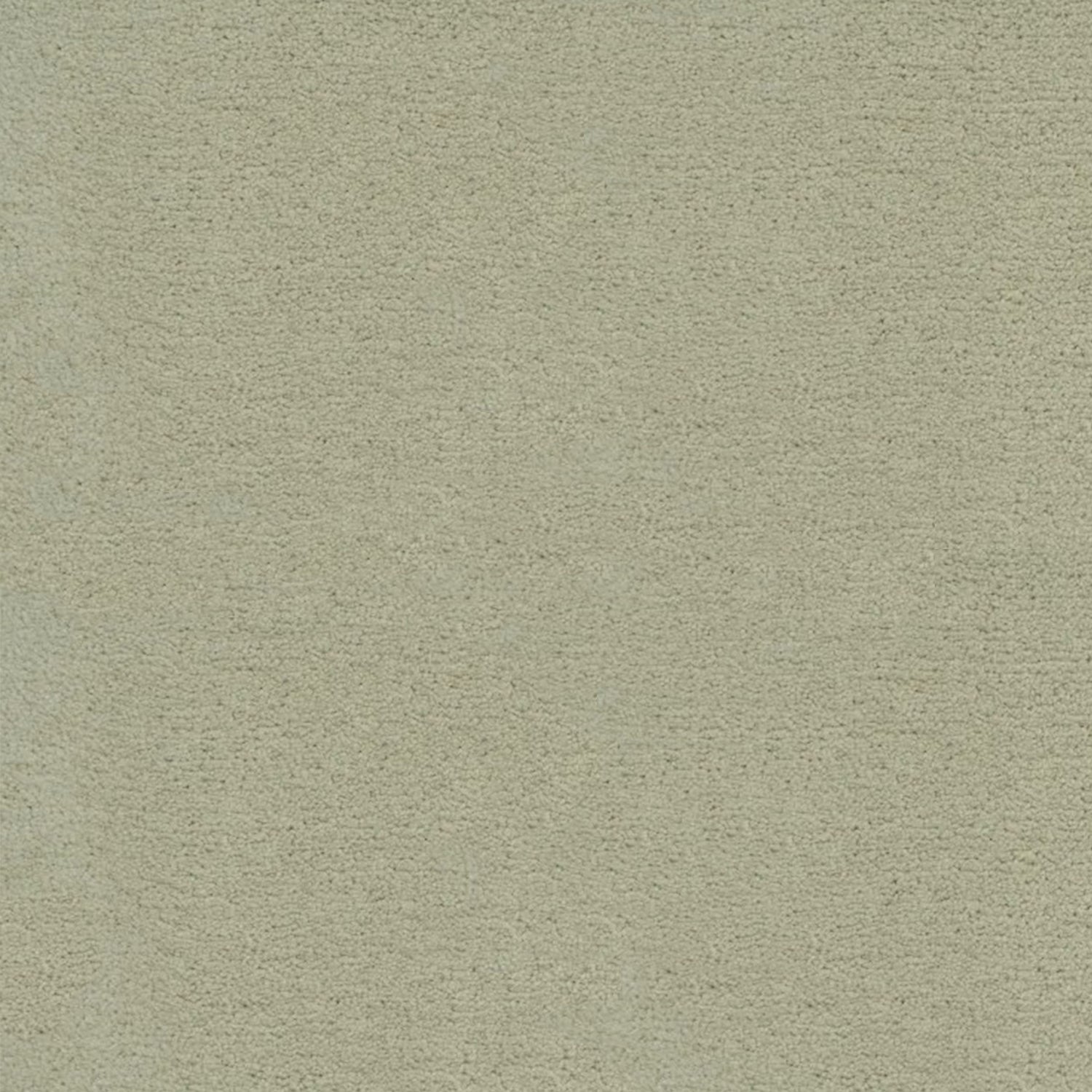 Artisan Carpets Bellezza 100% Polyester Velvet Carpet