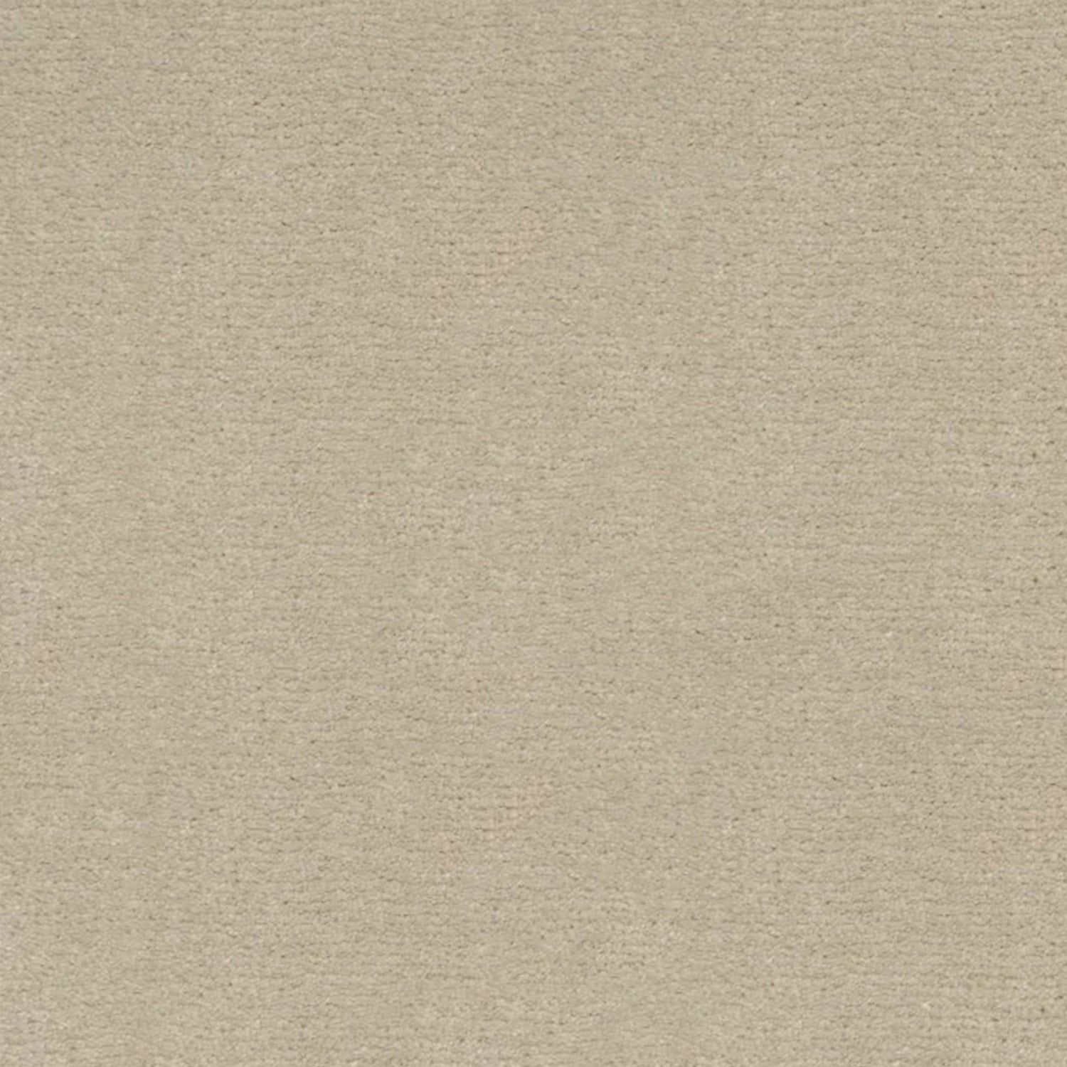 Artisan Carpets Bellezza 100% Polyester Velvet Carpet