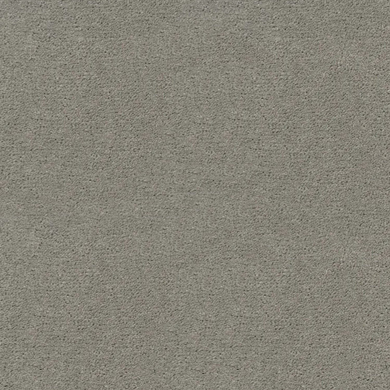 Artisan Carpets Bellezza 100% Polyester Velvet Carpet