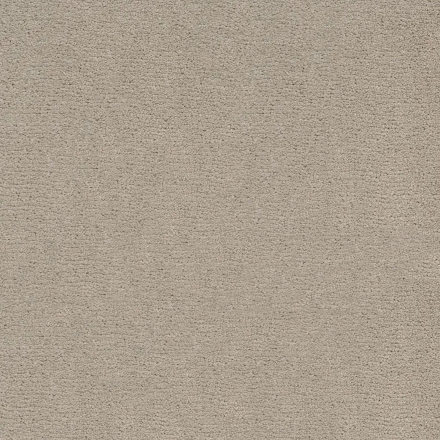 Artisan Carpets Bellezza 100% Polyester Velvet Carpet