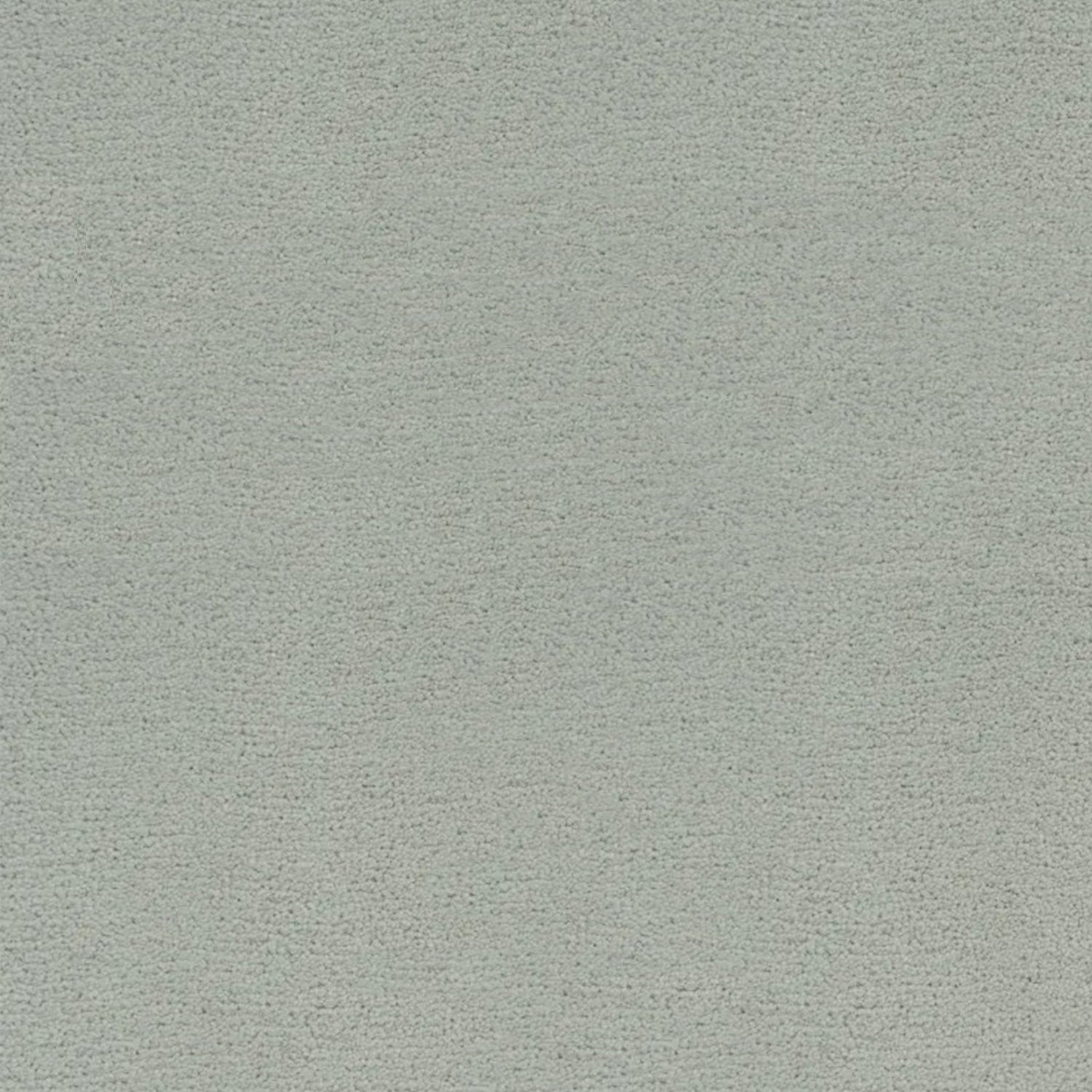 Artisan Carpets Bellezza 100% Polyester Velvet Carpet