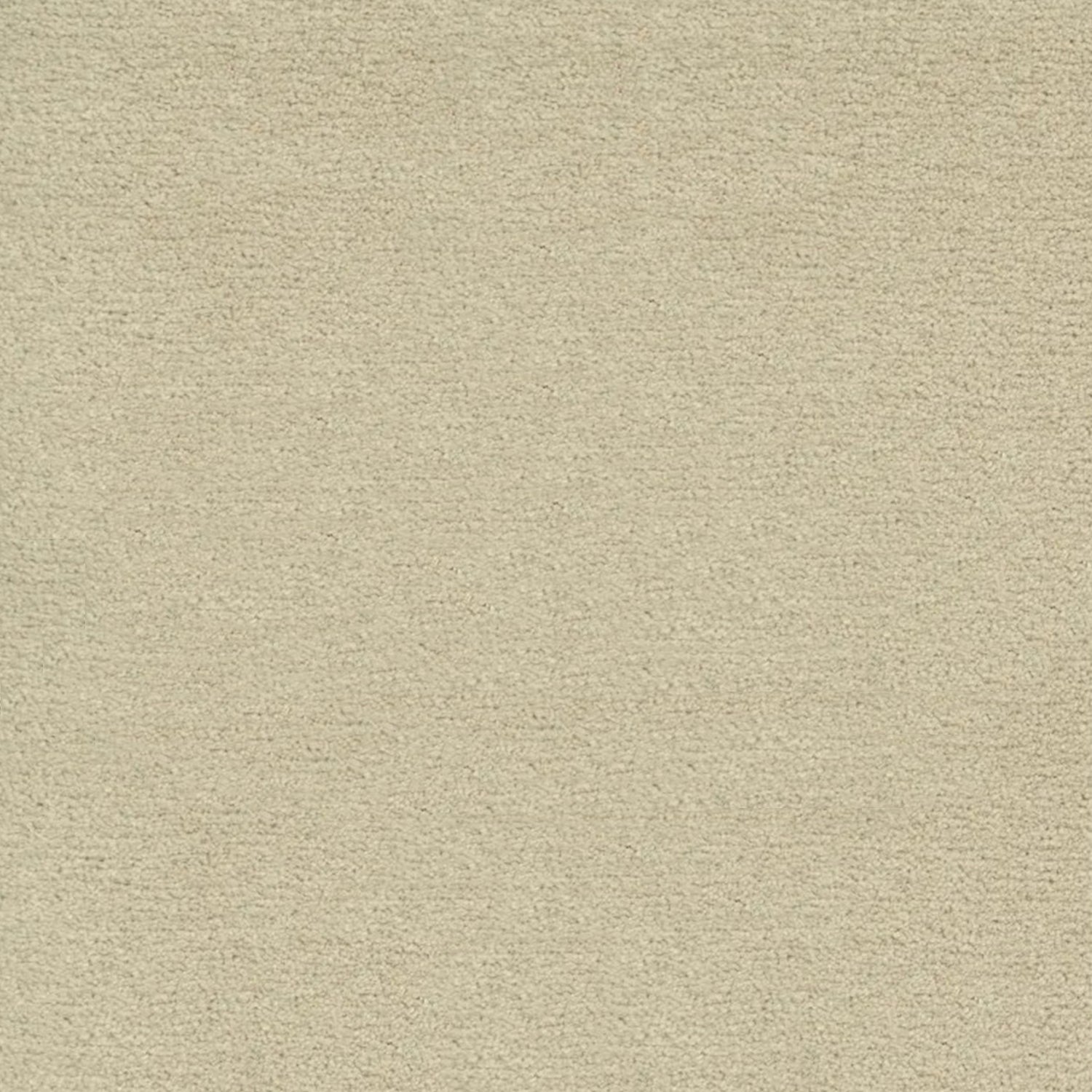 Artisan Carpets Bellezza 100% Polyester Velvet Carpet