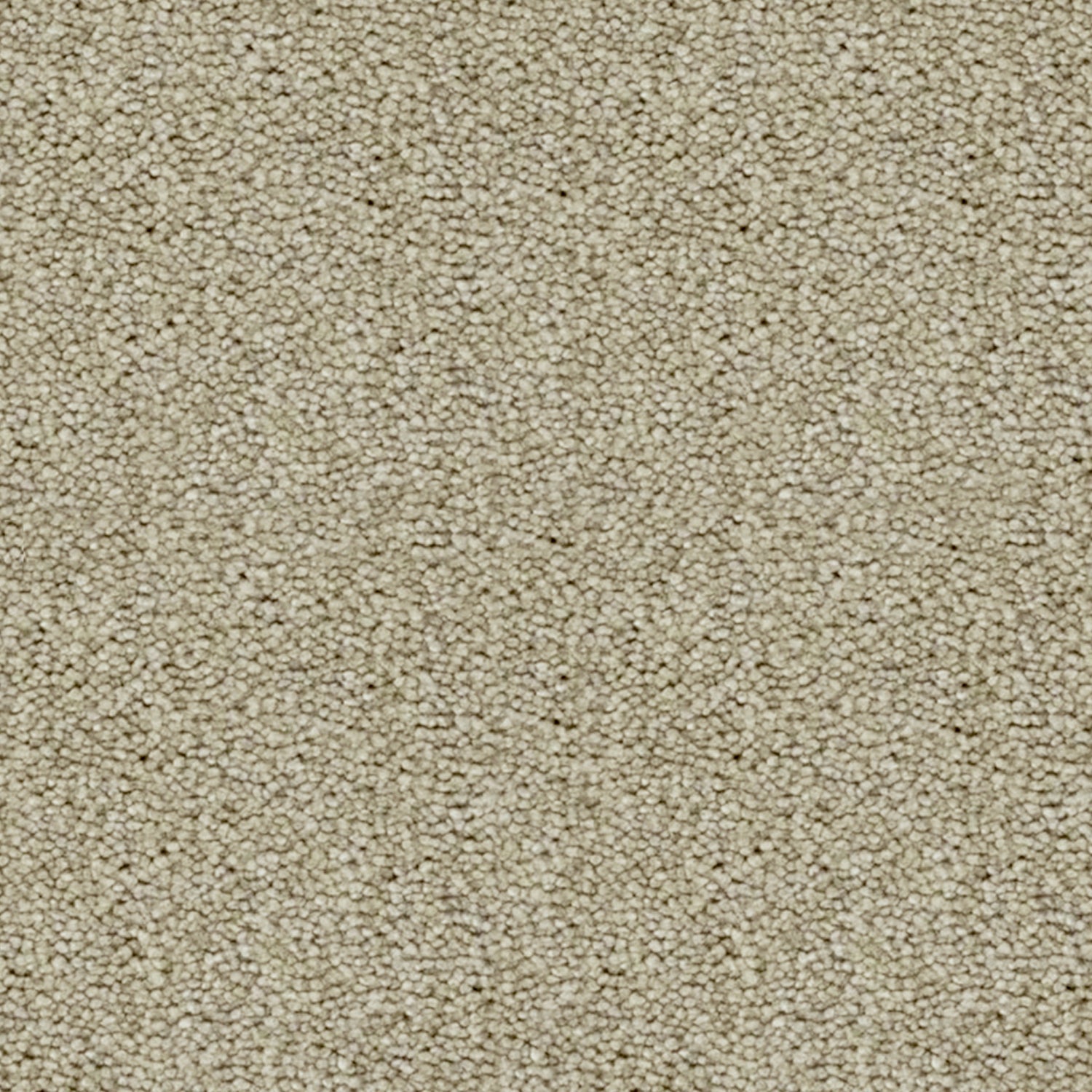 Artisan Carpets Eleganza 100% Polyester Velvet Carpet