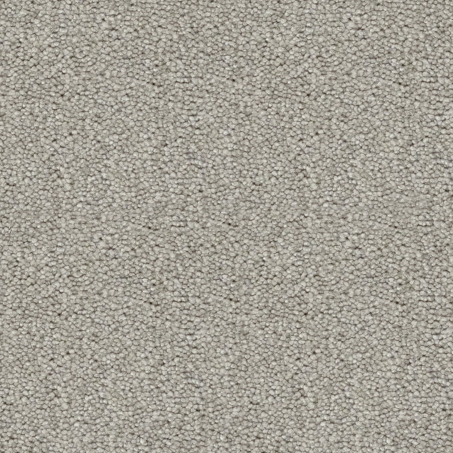 Artisan Carpets Eleganza 100% Polyester Velvet Carpet