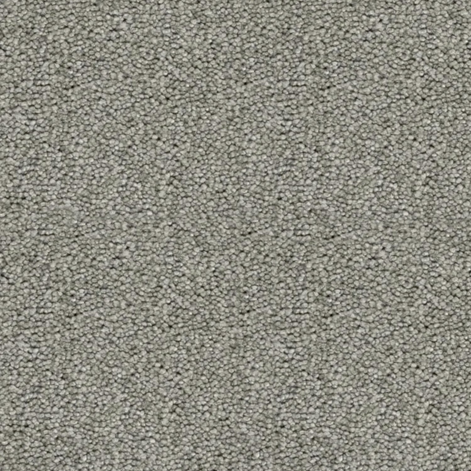 Artisan Carpets Eleganza 100% Polyester Velvet Carpet