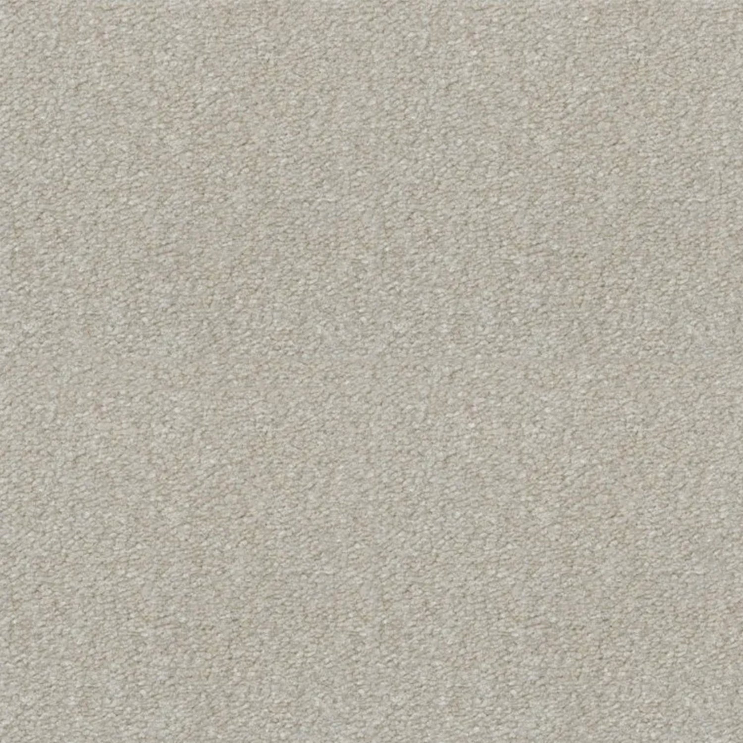 Artisan Carpets Lusso 100% Nylon Velvet Carpet