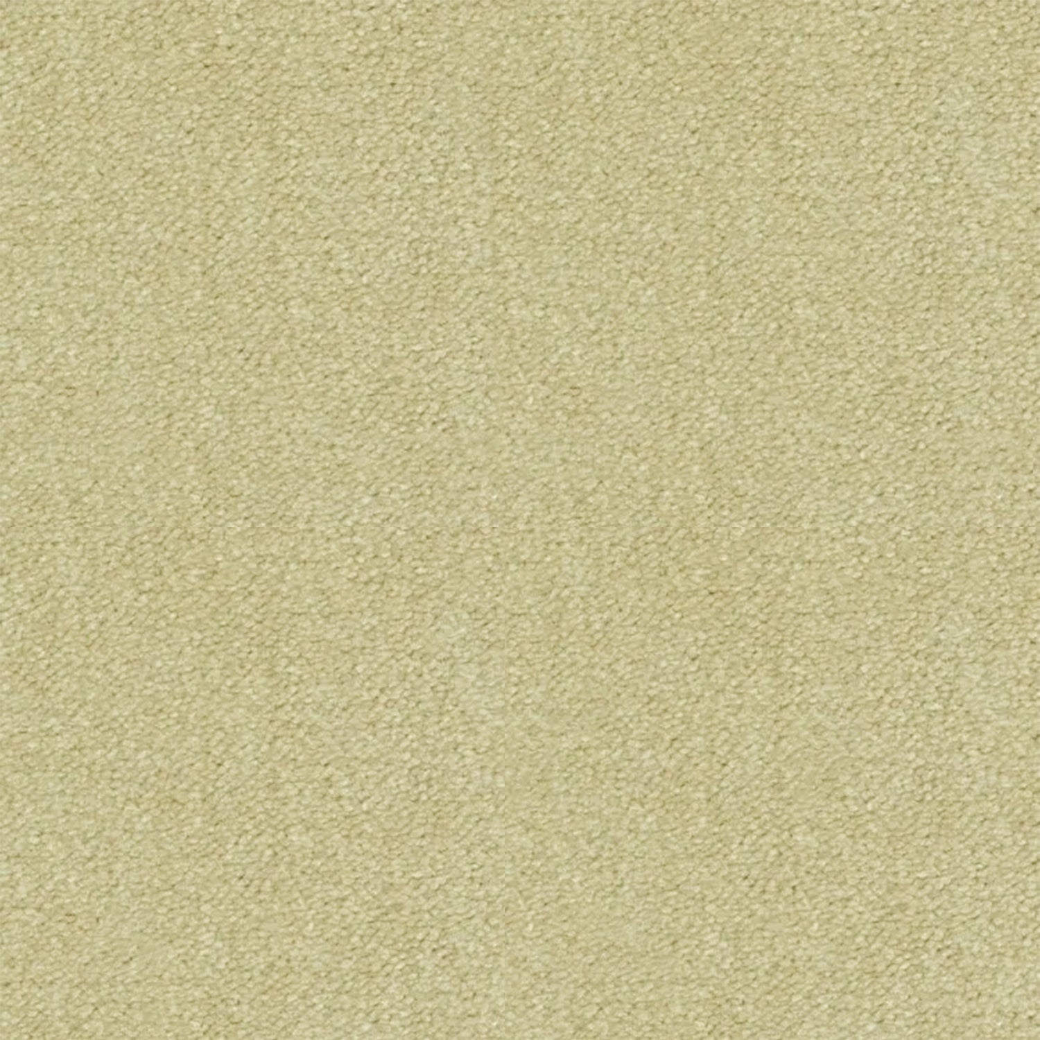 Artisan Carpets Lusso 100% Nylon Velvet Carpet