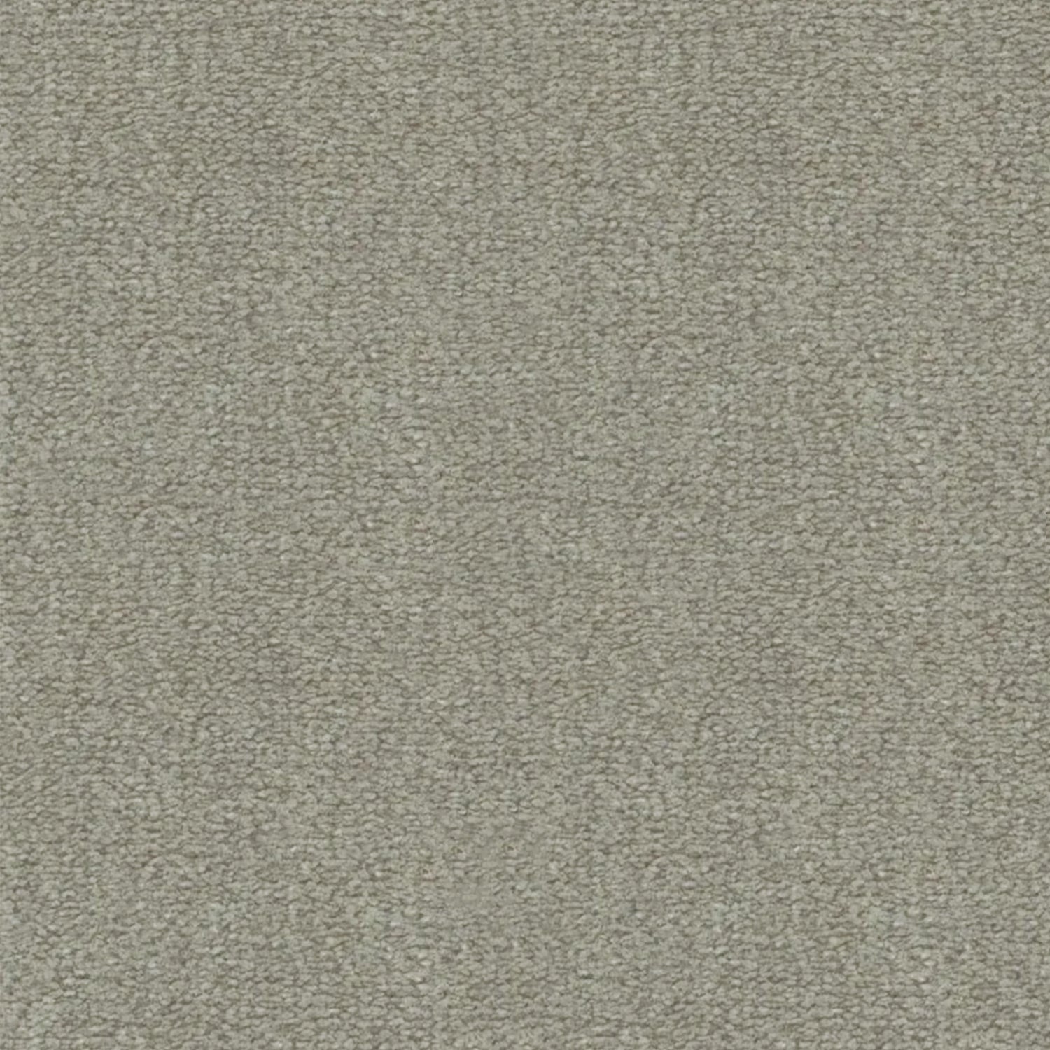 Artisan Carpets Lusso 100% Nylon Velvet Carpet
